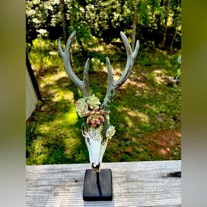 6 Point Deer Skull Head Figure measuring 15 1/4” tall x 6” wide on 3” base.